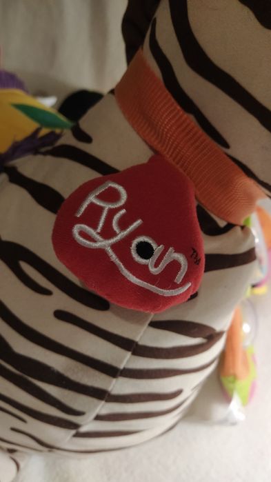 NOWA, Zebra interaktywna Rayan