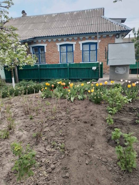 Продаж будинку в селі Вербівка