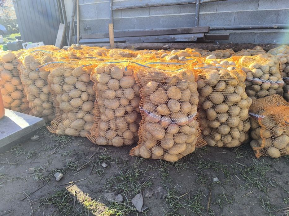 Ziemniaki prosto od rolnika