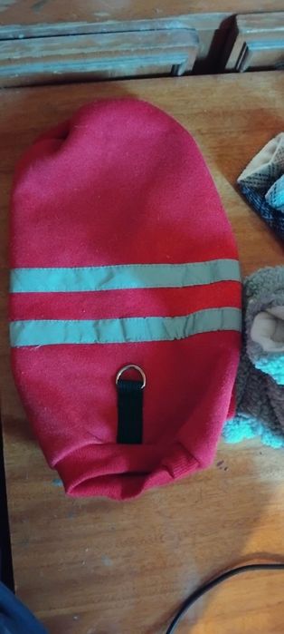 Зимняя одежда для собаки.