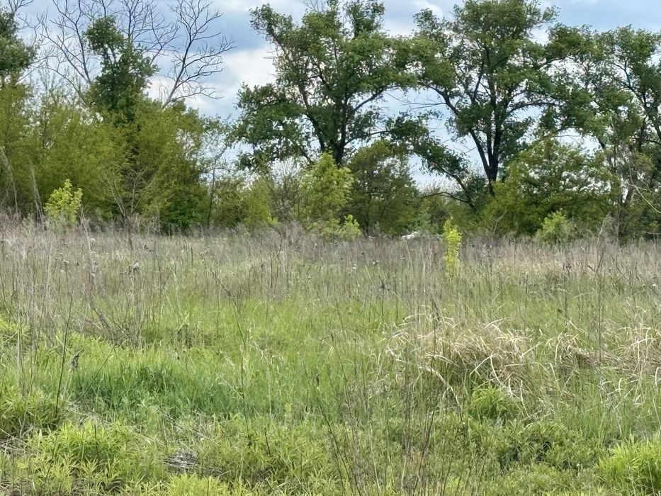 Земельна ділянка фасадна! 3га!! Бориспіль!