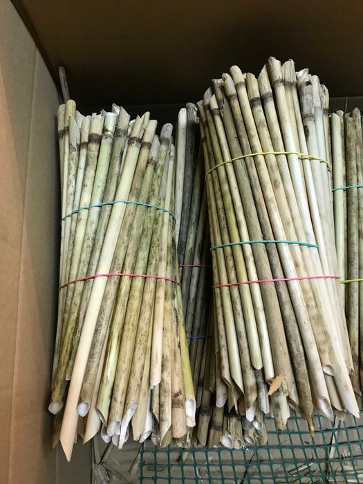 Rurki trzcinowe dla murarki ogrodowej 25-30cm - 300szt