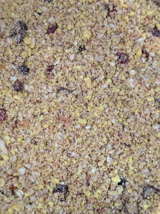 Alimento Pássaro Bebé