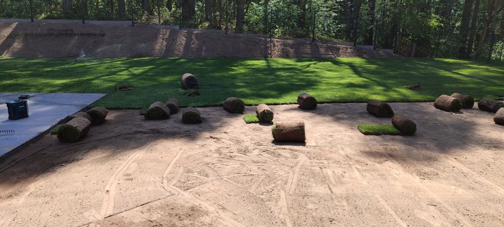 Trawa trawnik z rolki sprzedaż transport montaż wysyłki kurier