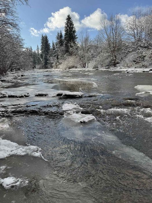 Котеджі "Фазенда"