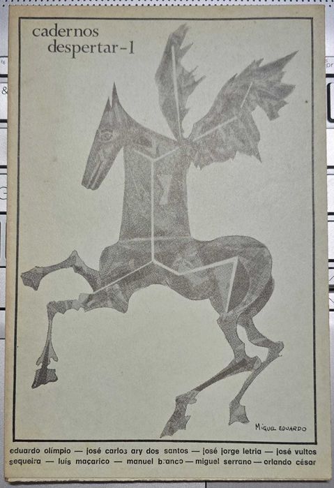 Cadernos despertar - 1 - Miguel Eduardo