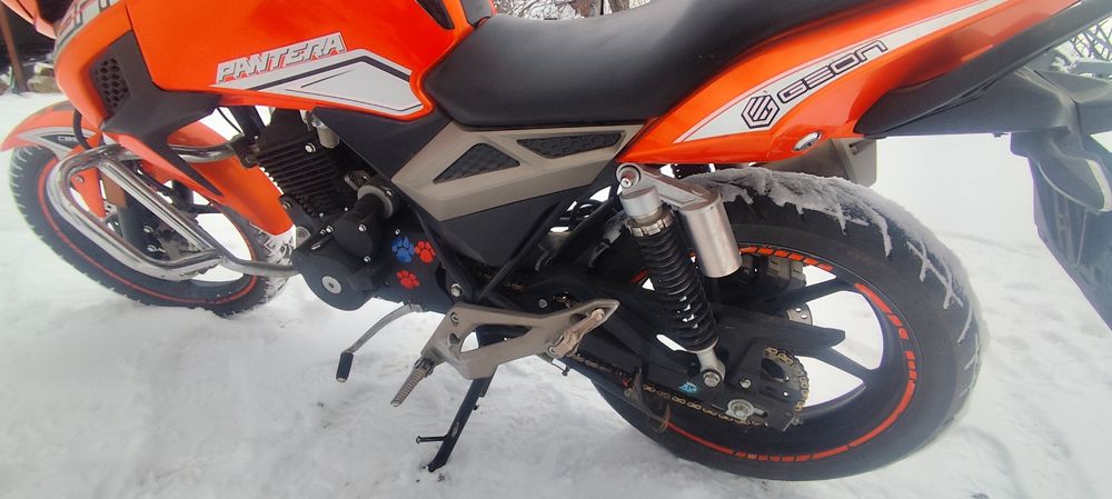 Геон пантера 200