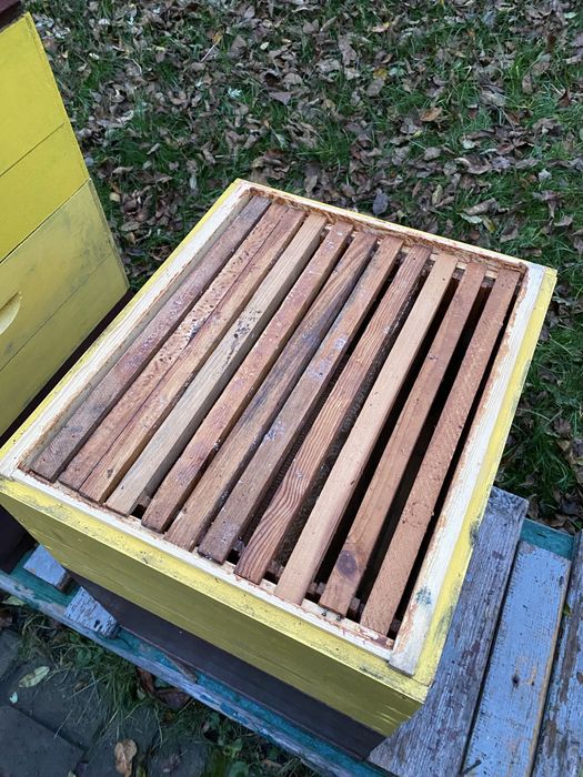 Вулики та медогон, комплектом