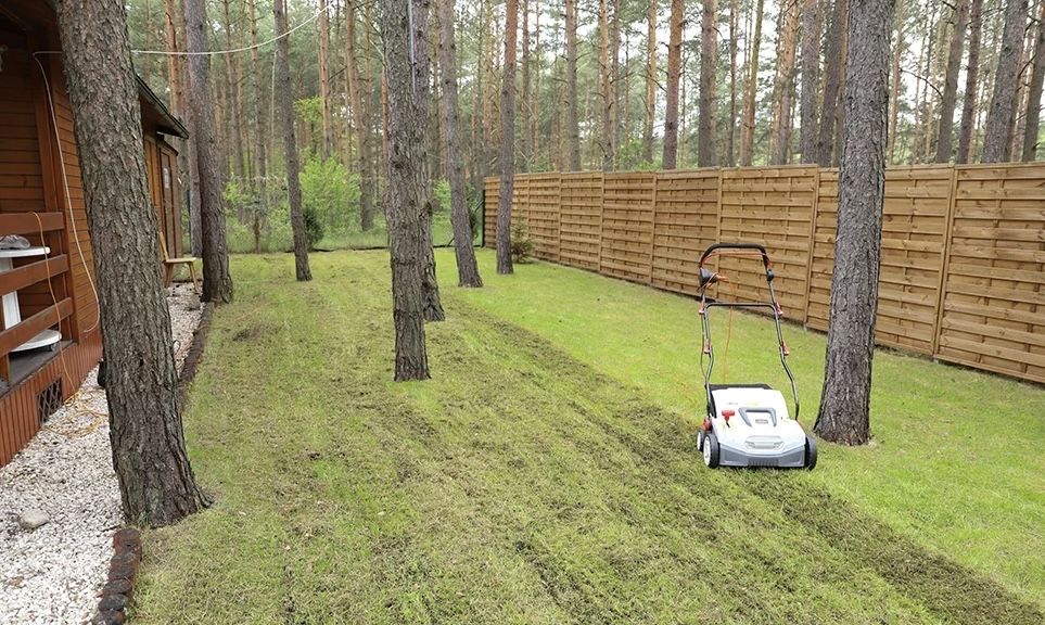 Wertylukacja trawnika , przycinanie , prace ogrodnicze