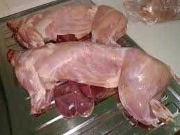 Продаємо тушки кроликів і кроликів