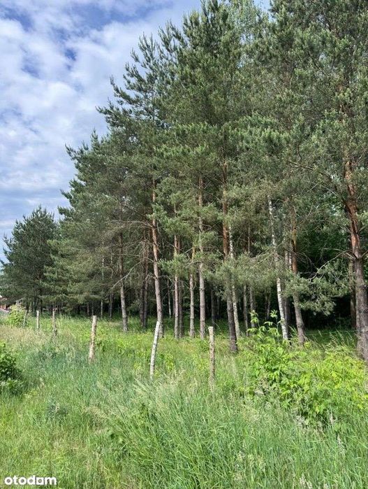 20 km do centrum Warszawy