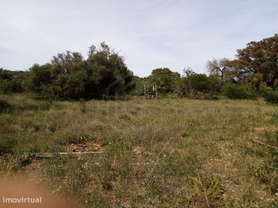 Terreno Rustico com 11 136m2, Loulé, Algarve