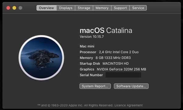 APPLE MacMini 4.1 Core2Duo NVidia SSD 275
