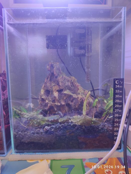 Akwarium 20x20x25 dla bojownika