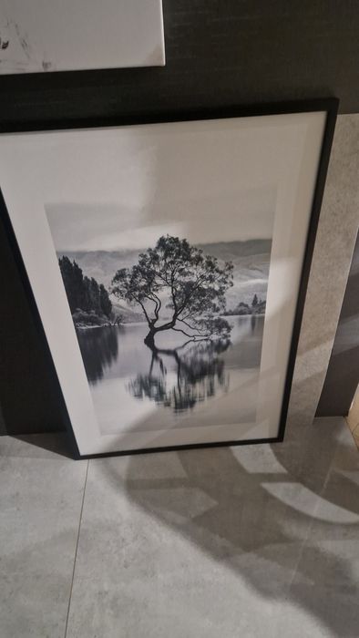 Obraz drzewo czarno bialy