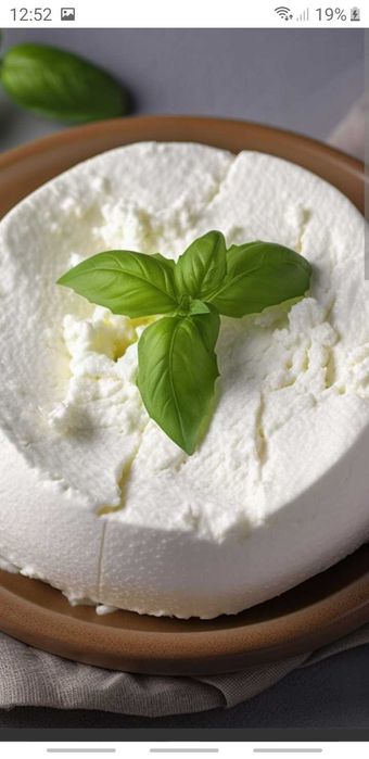 Sery kozie smakowe, wędzone. Ricotta.