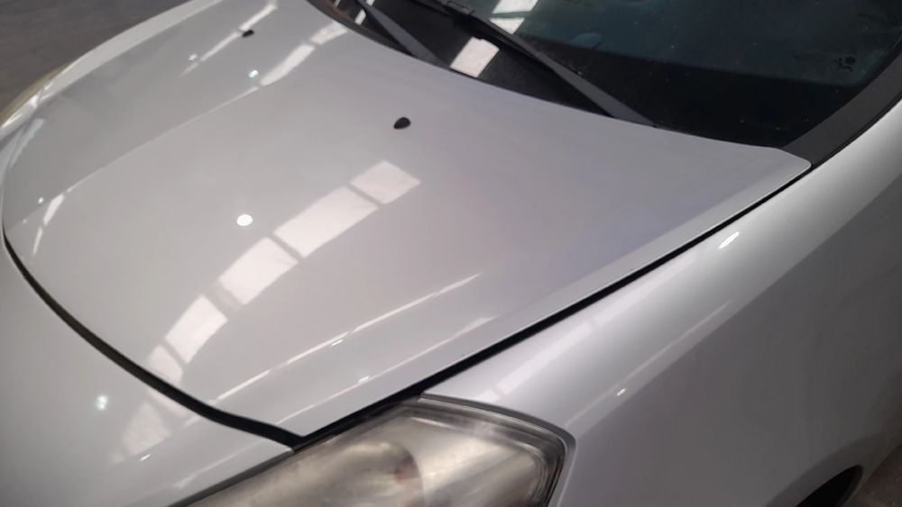 Capot RENAULT Clio III (BR0/1, CR0/1)
