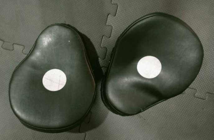 Par de Plastron de treino de artes marciais