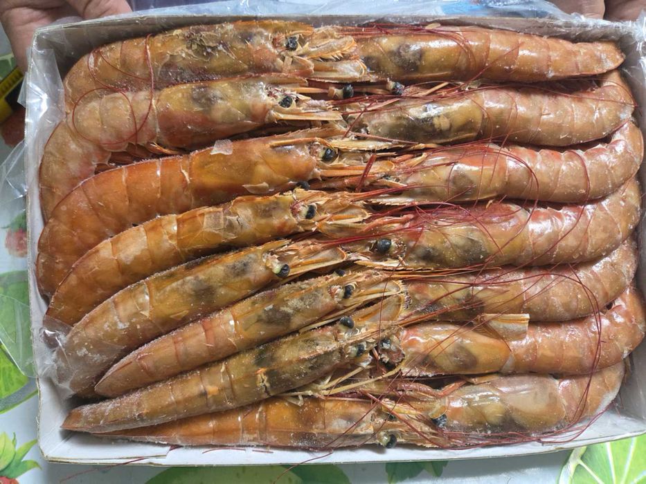 Креветка лангустини