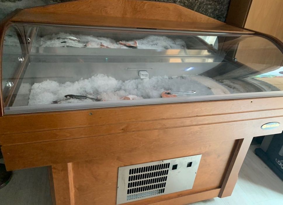 Vitrine de peixe com fabrico de gelo