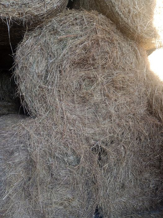 Siano Suche Pachnące !!!