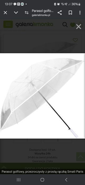 Parasol przezroczysty DUŻY