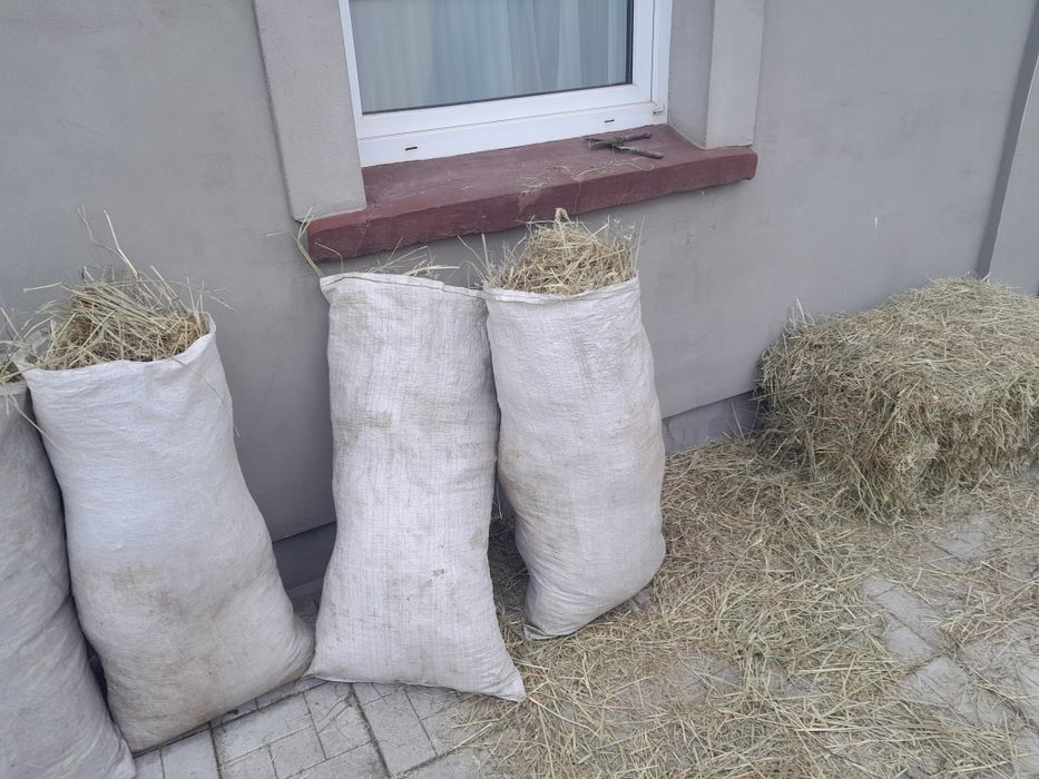 СВІЖАК цього року сіно в тюках та в мішках. Трава суха
