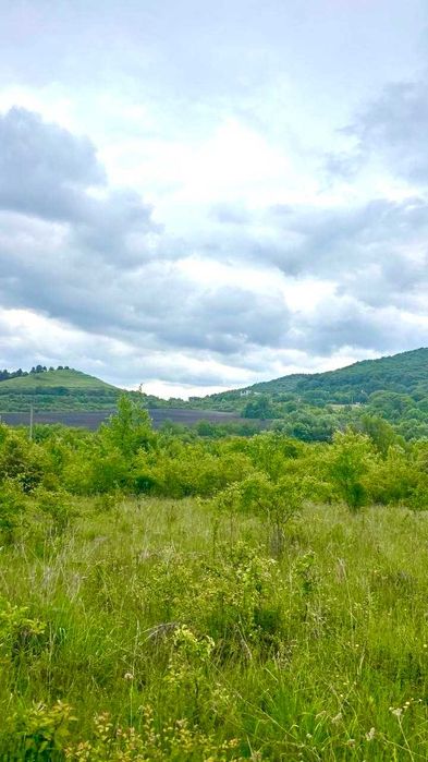 Продаж земельної ділянки. с. Відники-17 км. до Львові