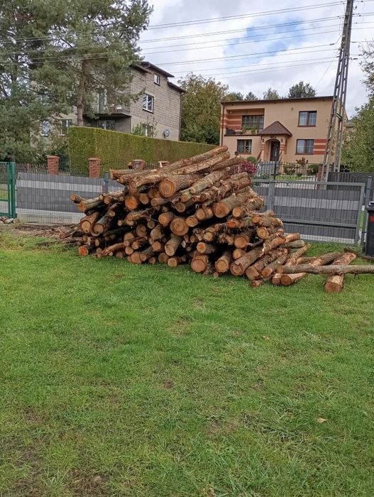 Drzewo opałowe dąb