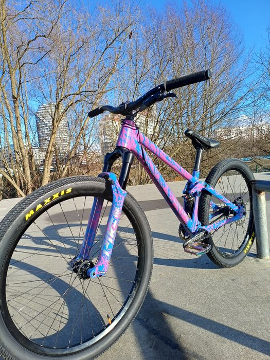 Rower Canyon 720 custom (pike,freecoaster)