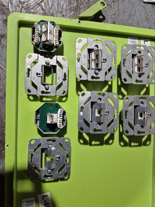 Gniazdo internetowe nowe