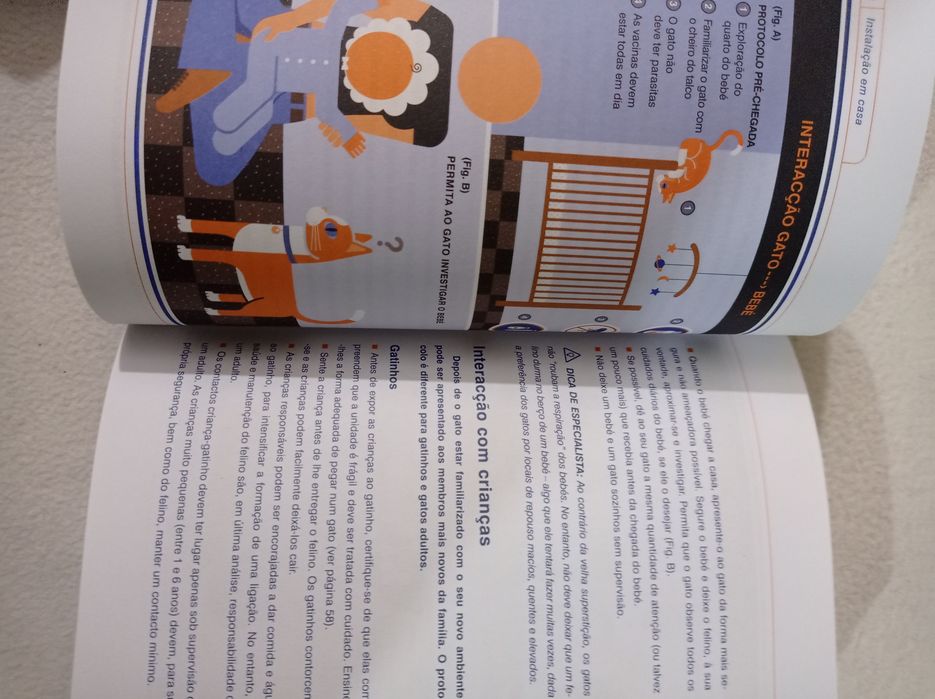 Gato - livro de instruções - Dr. David Brunner e Sam Stall