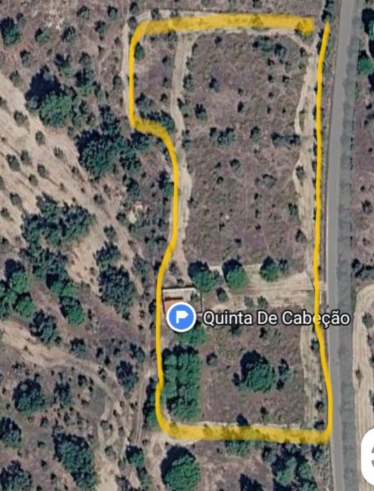 Monte alentejano