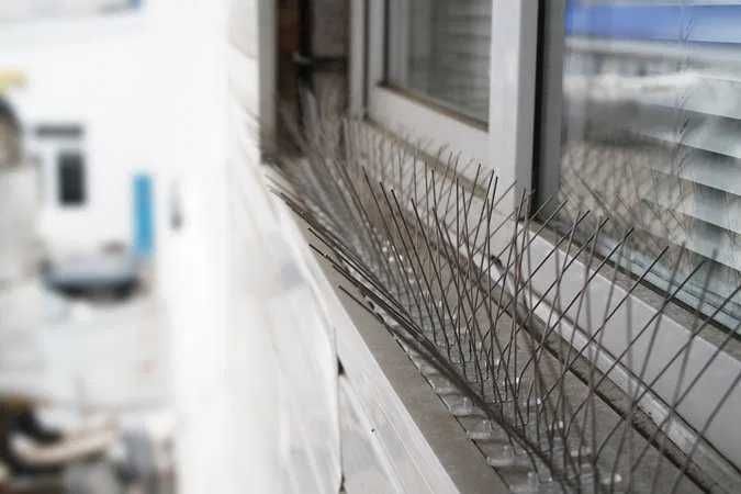 Siatka balkonowa / siatka dla kota / siatka przeciw ptakom