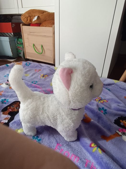 Gato eletrônico que anda