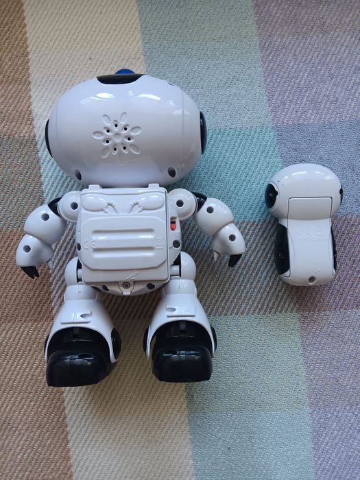 Zdalnie sterowany robot
