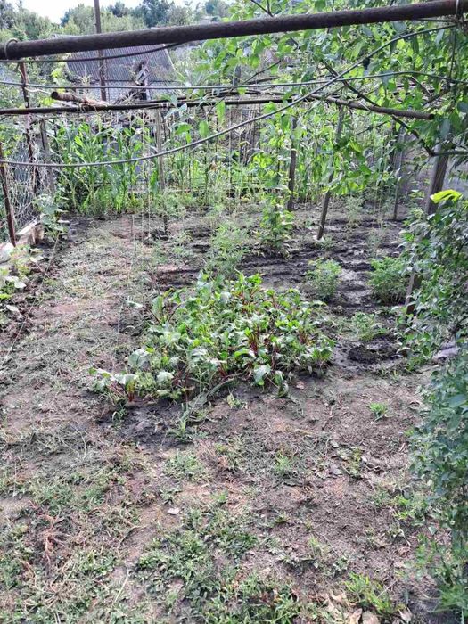 Без комиссии! Продам дачу! Р-н Подпорожнянки! Ближние дачи!