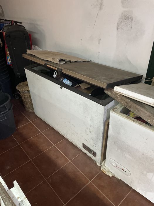 2 Arcas frigoricas