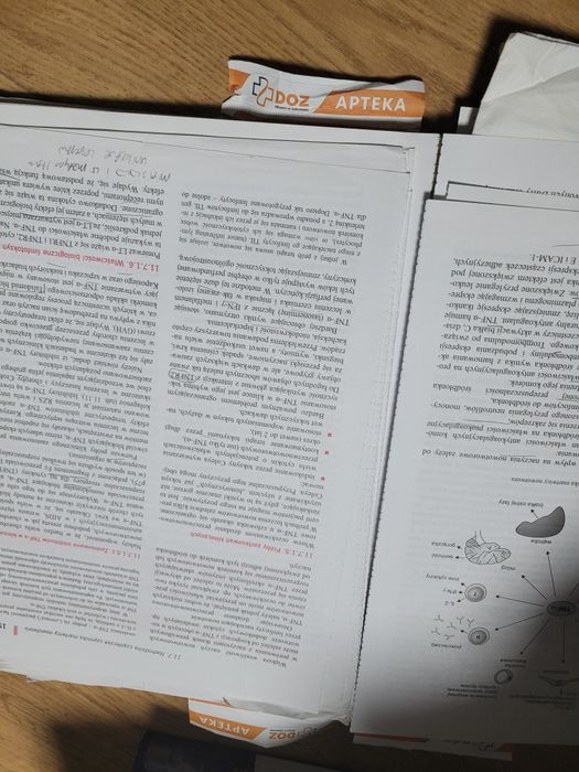 Immunologia Nowe wydanie Gołąb Jakub Jakóbisiak Marek Lasek Witold Sto