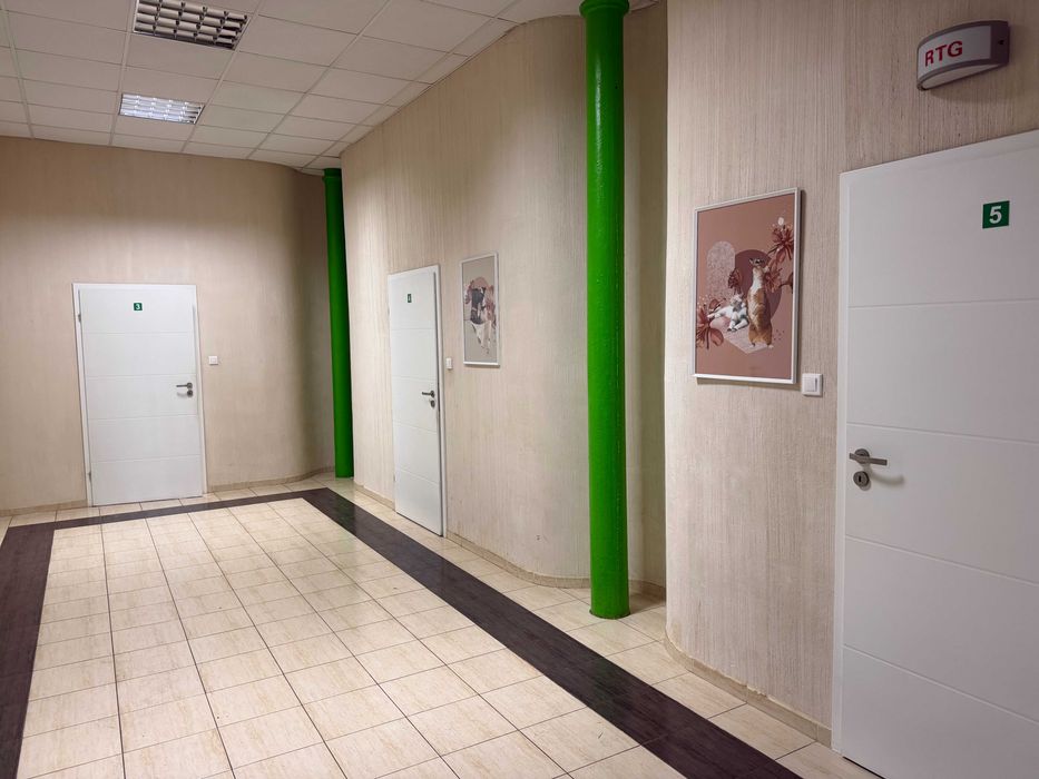 Lokal na parterze 200 m2 z wydzielonymi pomieszczeniami. idealny na gabinet, rehabilitację, masaże, usługi, Tatoo