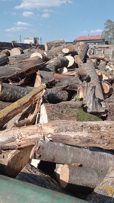 Дрова пиляні /не пиляні твердих порід,від 5 М³