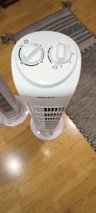 2 ventiladores de coluna seminovos