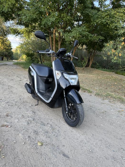 Honda Dunk Свіжий
