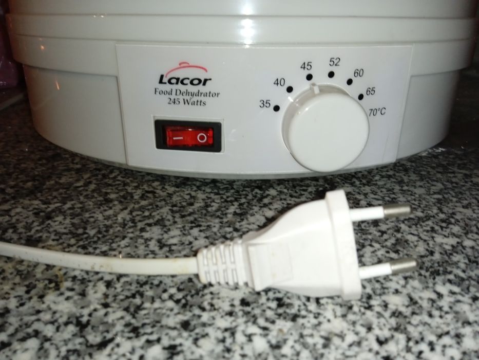 Desidratador eléctrico para alimentos (fruta, carne, peixe)