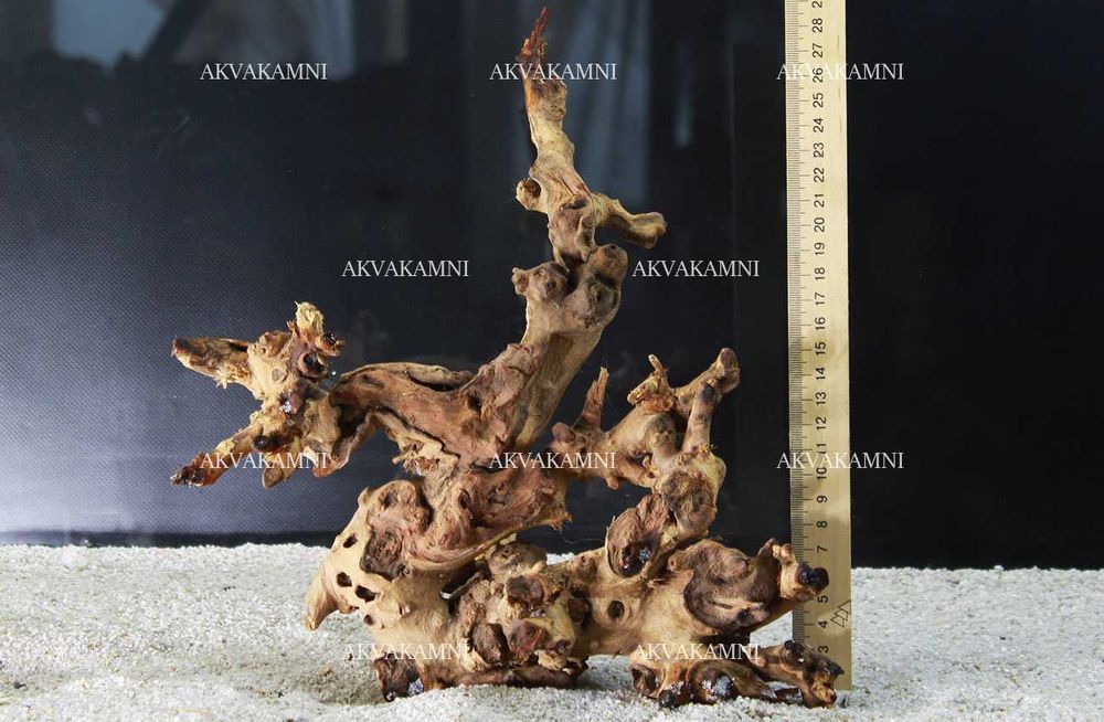 Коряги для аквариума. Корни Азалии, Мопани, Мангровые, Ротанг, бонсаи