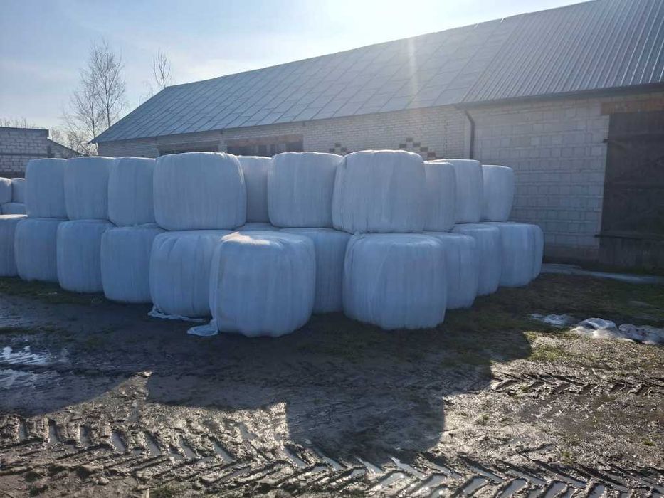 Sprzedam bele sianokiszonki