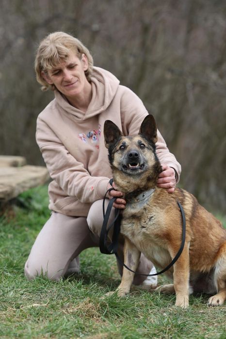Do adopcji samiec ok 9lat