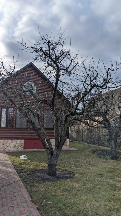 Обрізка плодових дерев саду, обрізка яблуні | Обрезка сада