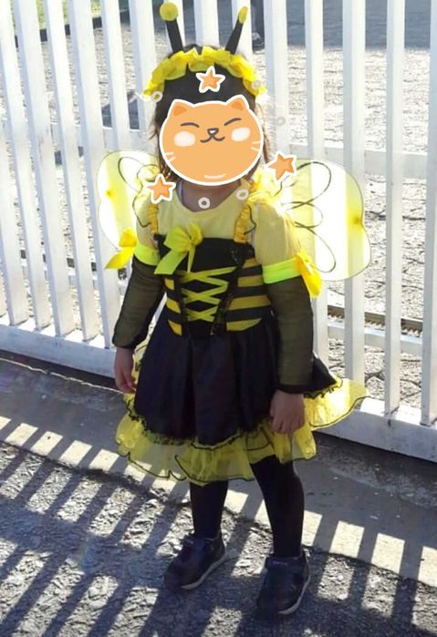Vários Disfarces de carnaval menina/menino