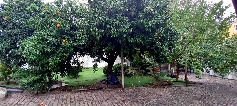 Vivenda numa das zonas mais centrais e bonitas de Portalegre